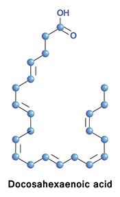 The Molecular Structure For Docosahexaenoic Acid (DHA)