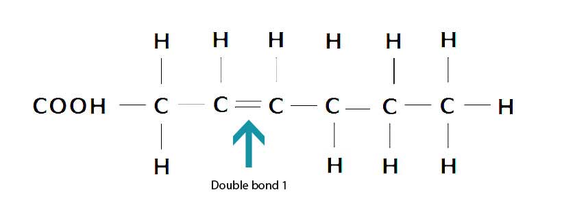 Diagram Showing Molecular Structure of Monounsaturated Fatty Acids.