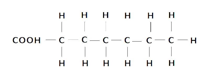 A Diagram Showing the Molecular Structure - Carbon and Hydrogen Atoms - of Saturated Fat,