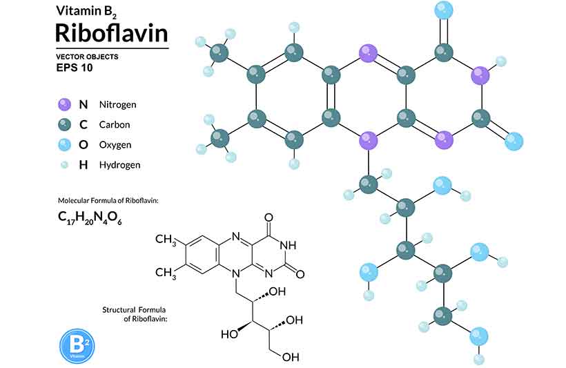 27 Essential Vitamins & Minerals Functions and Best Food Sources