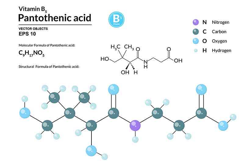27 Essential Vitamins & Minerals Functions and Best Food Sources