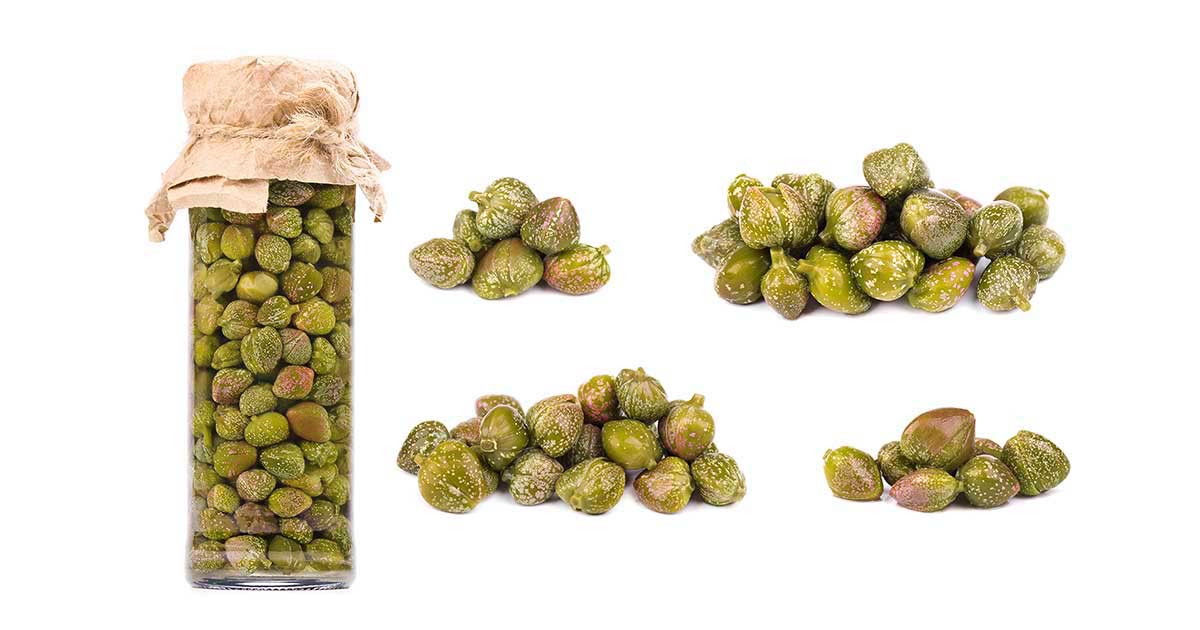 what-are-capers-and-how-to-use-them-nutrition-advance