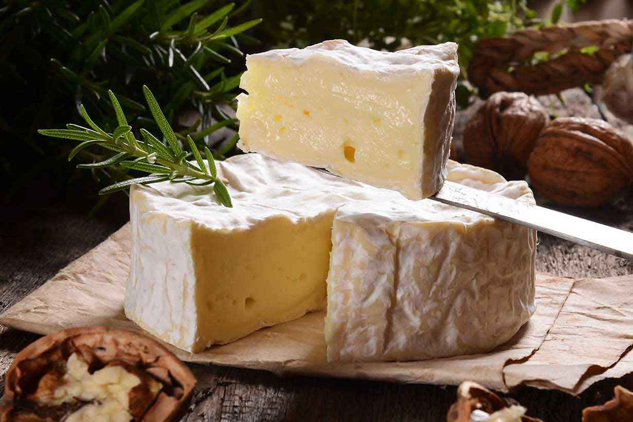 A Small Camembert Cheese Wheel On a Table.