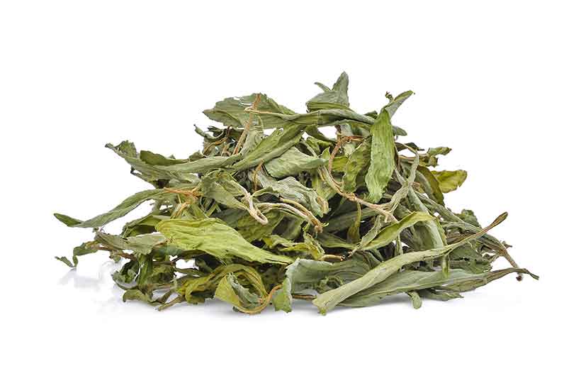 Dried Whole Green Stevia Leaves.