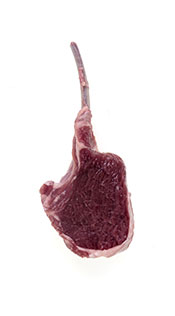 A Bone-In Lamb Chop On a White Background.