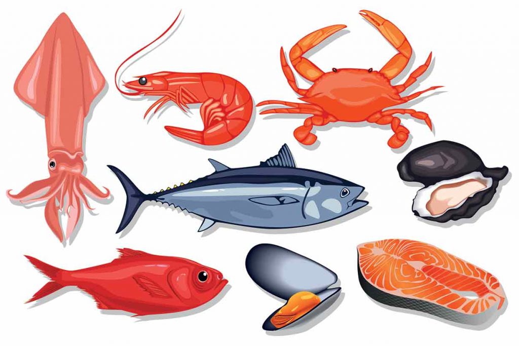 A Variety of Healthy Seafood Options Including Fish and Shellfish.