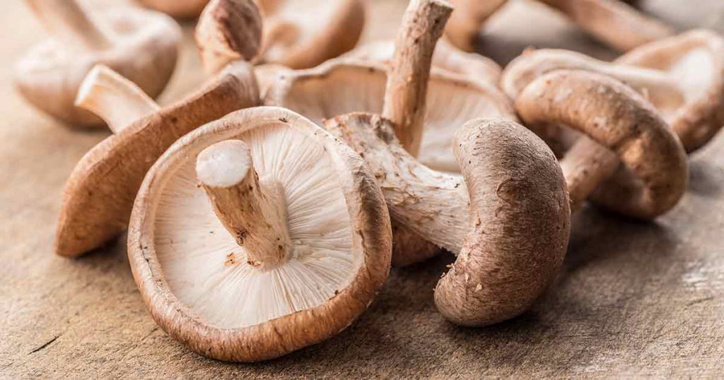 Shiitake Mushrooms On a Wooden Surface.