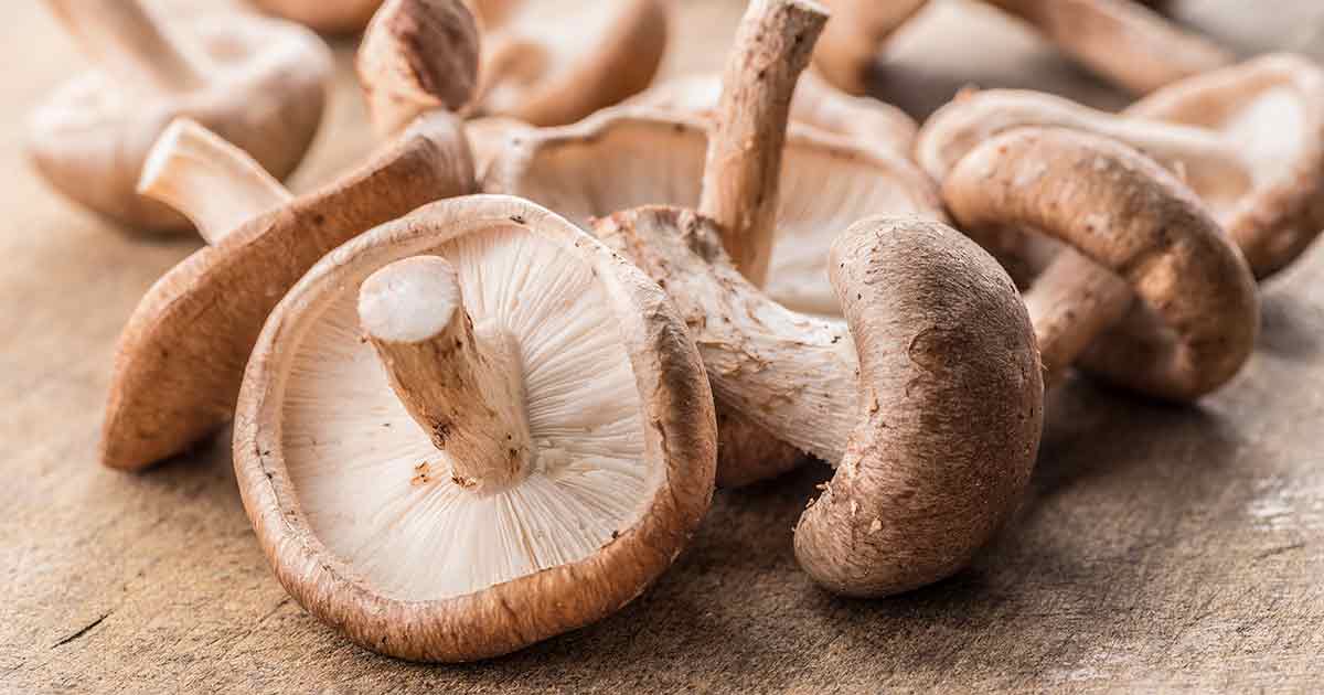 Shiitake Mushrooms: Nutrition Facts and Potential Benefits - Nutrition  Advance