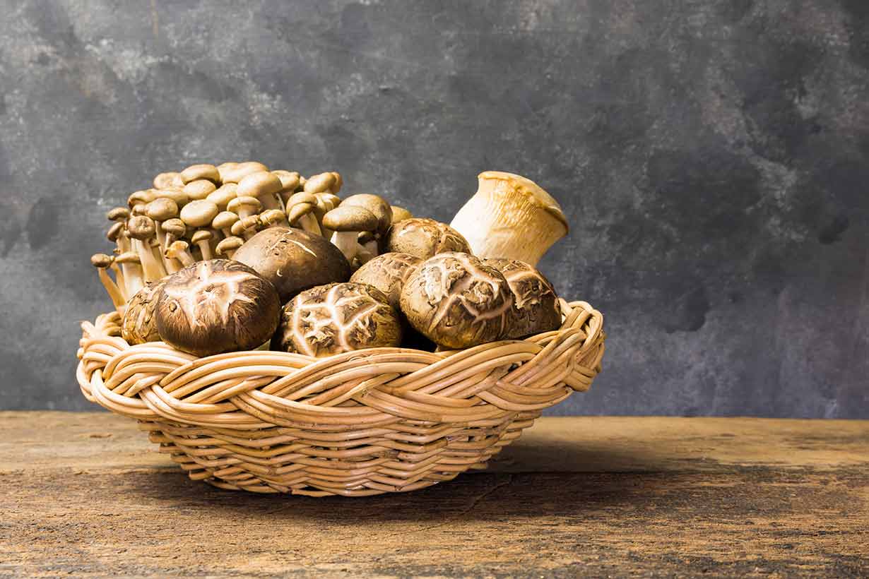 Different Types of Edible Mushrooms In a Basket.