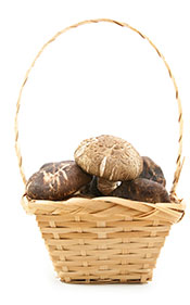 A Straw Basket Containing Dried Shiitake Mushrooms.