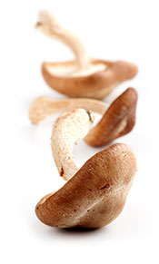 Several Fresh Shiitake Mushrooms Upside Down.