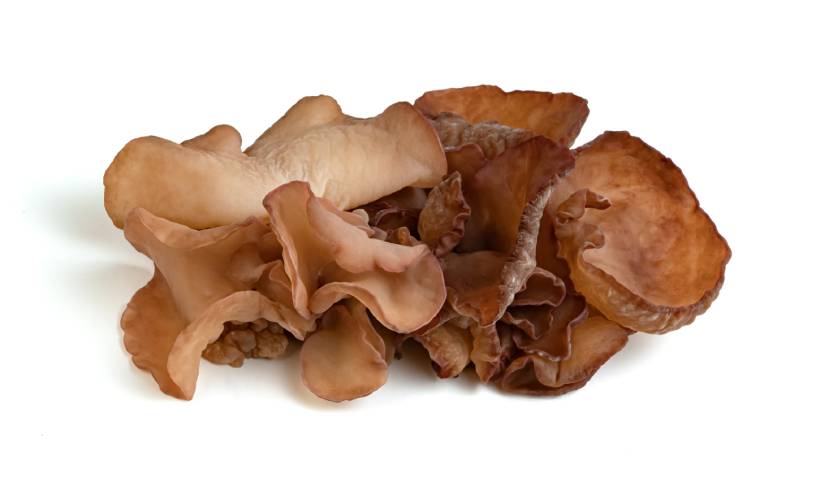 Pepeao (Jew's Ear) Mushroom.