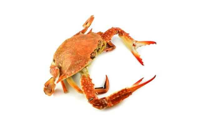 A Steamed Whole Crab.