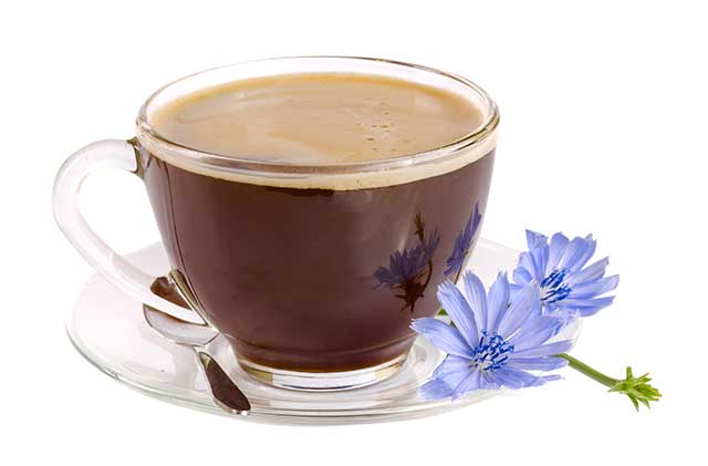 Chicory Root Tea In a Glass Cup.