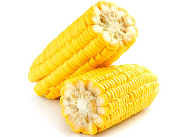 Two Corn on the Cob.