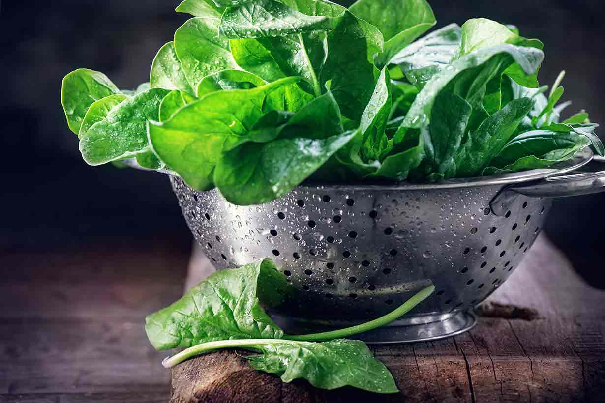 Pile of Fresh Spinach Leaves Bring Prepared.