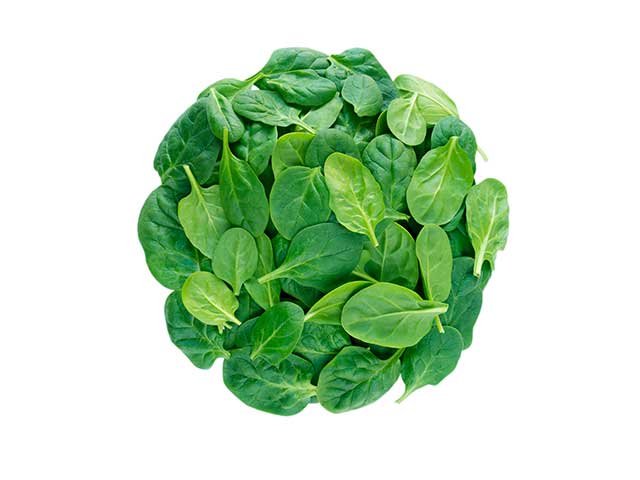 A Large Collection of Spinach Leaves.