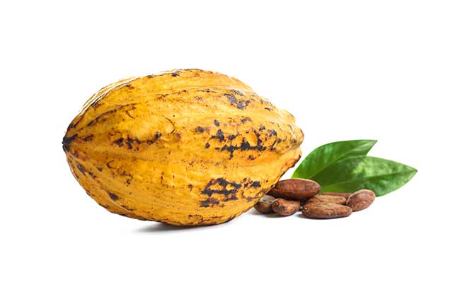 A Ripe Yellow Cocoa Pod Next To Some Cocoa Beans.