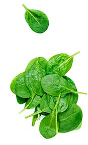 A Pile of Green Spinach Leaves.