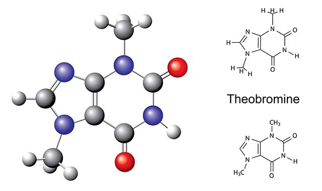 The Chemical Structure of Theobromine.