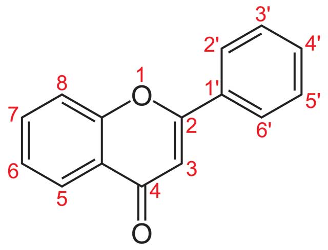 The Structure of a Flavone.