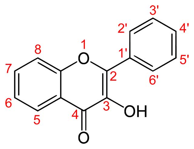 The Structure of Flavonol.