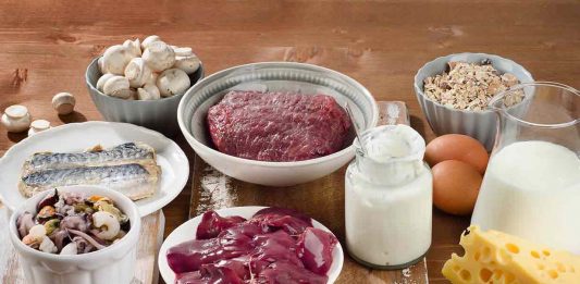 Various foods high in vitamin B12.