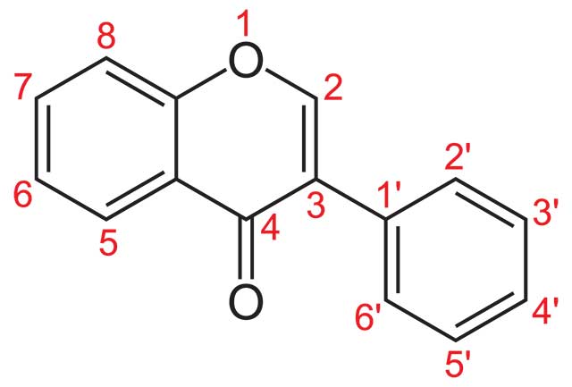 The Structure of Isoflavone.