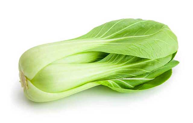 A Large Bok Choy (Chinese Cabbage).