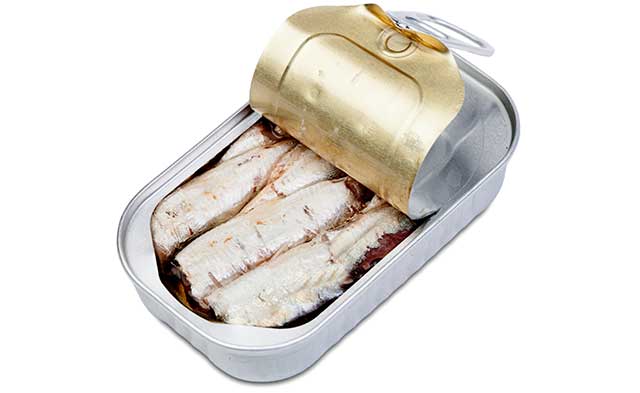 An Open Can of Sardines In Brine.