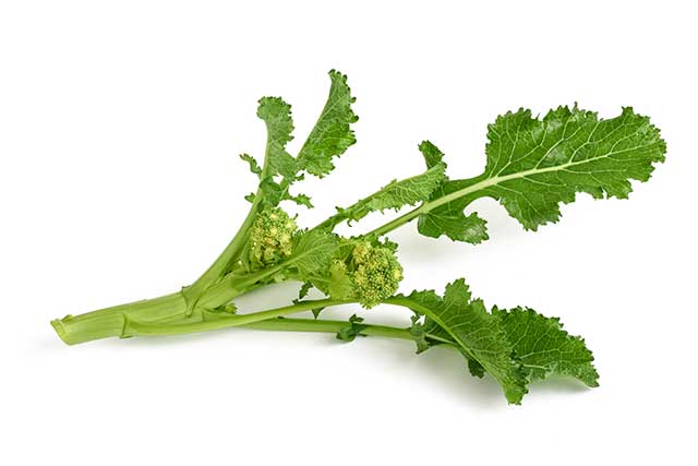 Turnip Greens On a White Background.