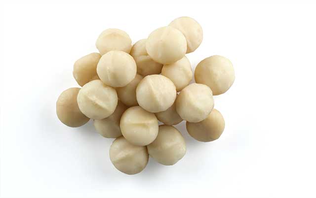 A Handful of Whole Unshelled Macadamia Nuts.