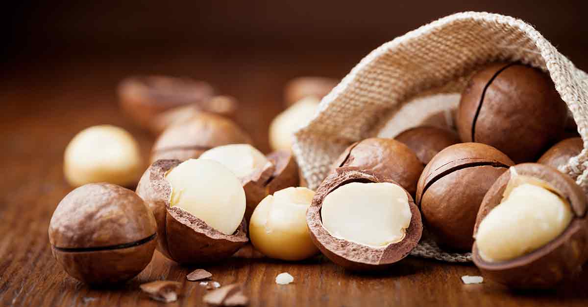 Are Macadamia Nuts Good For You? (and Full Nutrition Facts)