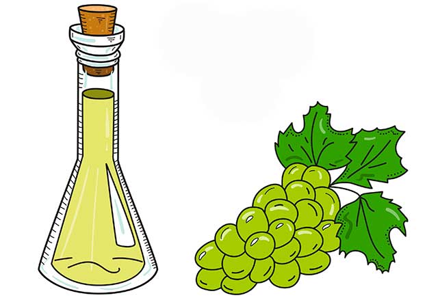 Hand Drawn Grape Seed Oil Bottle Next To Green Grapes.