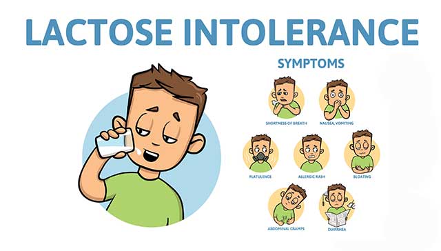 Infographic Showing the Symptoms of Lactose Intolerance.