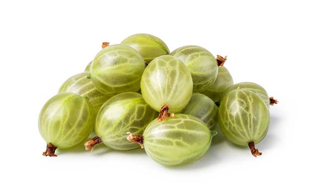 A Pile of Fresh Green Gooseberries.