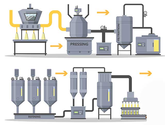 Illustration Showing the Production Process of Grapeseed Oil.