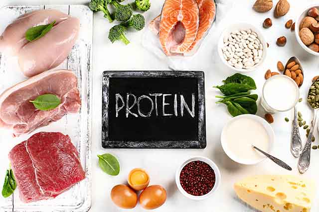 A Variety of Foods High In Protein.