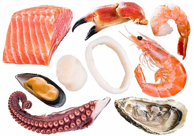 Various Different Fish and Shellfish.