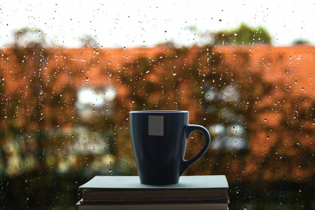 A cup on top of a book in front of a rain-splashed window.