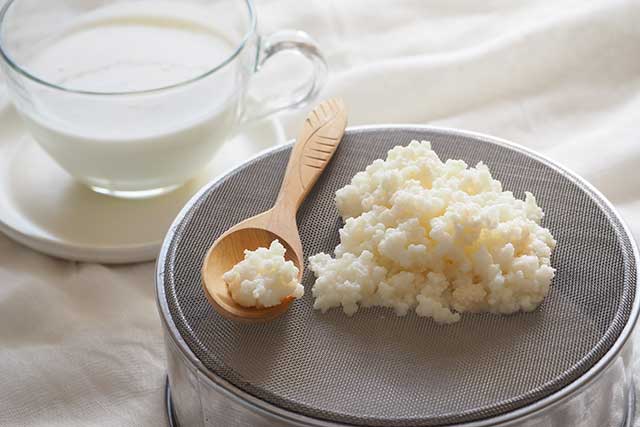 Homemade Milk Kefir Grains and Glass of Kefir. 