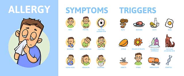 Infographic Showing the Symptoms and Triggers of Common Allergies.