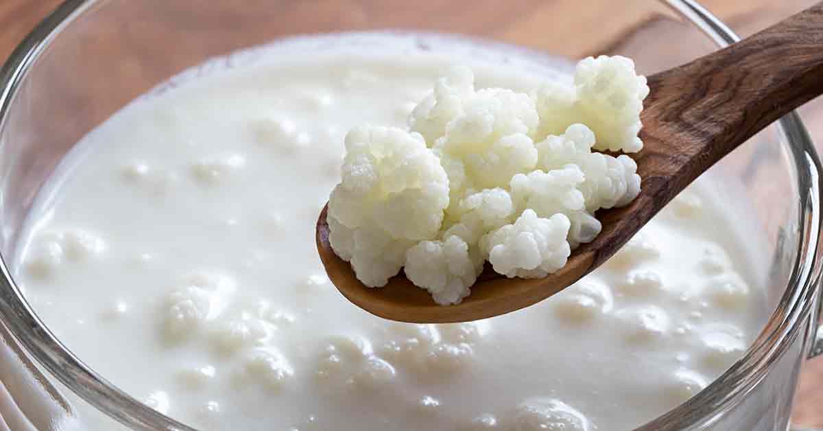 Kefir 101 Nutrition Facts, Health Benefits, and Side Effects