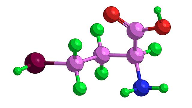 Illustration Showing the Molecular Structure of Homocysteine.