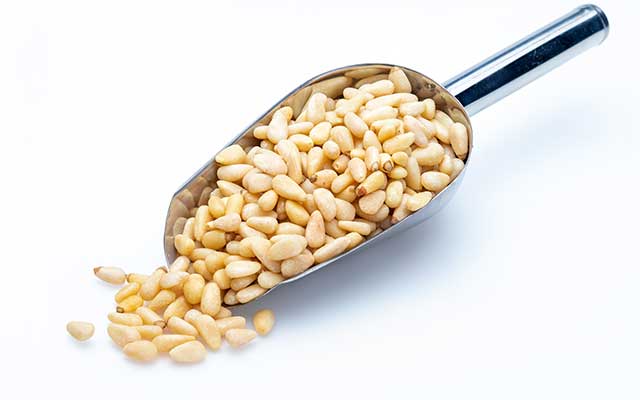 Pine Nuts In a Metal Scoop Shovel.