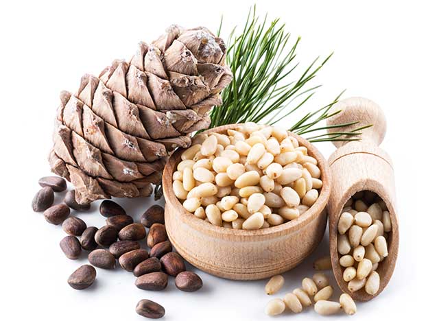 Shelled and Unshelled Pine Nuts and a Pine Cone.