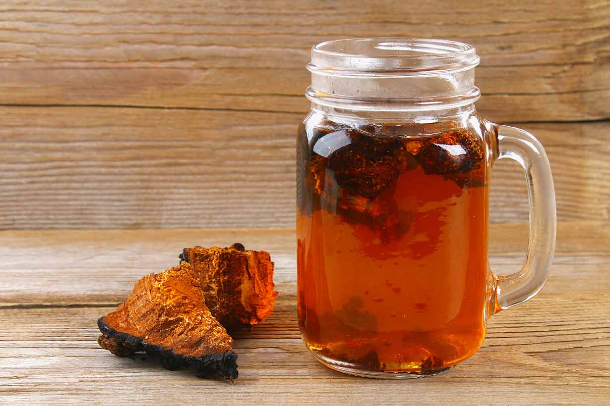 Chaga Mushroom Tea Health Benefits And