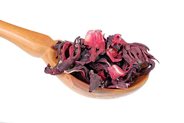 Dried Hibiscus Tea Leaves On a Wooden Spoon.