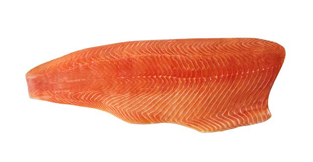 A Fillet of Farmed Atlantic Salmon.