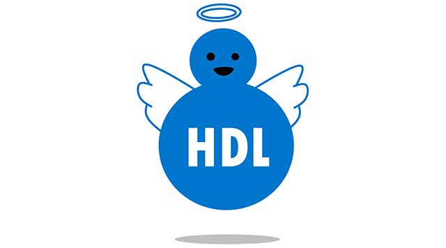 HDL Cholesterol - Otherwise Known as the "Good Cholesterol".